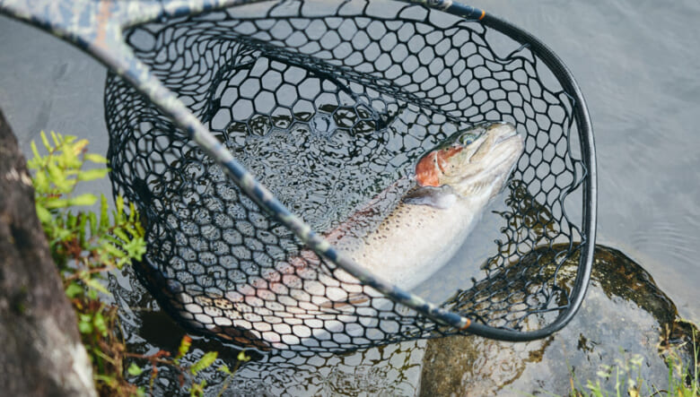 釣りの魅力を再発見。笑顔であふれた「GO OUT FISHING JAM」の濃密時間をレポート！