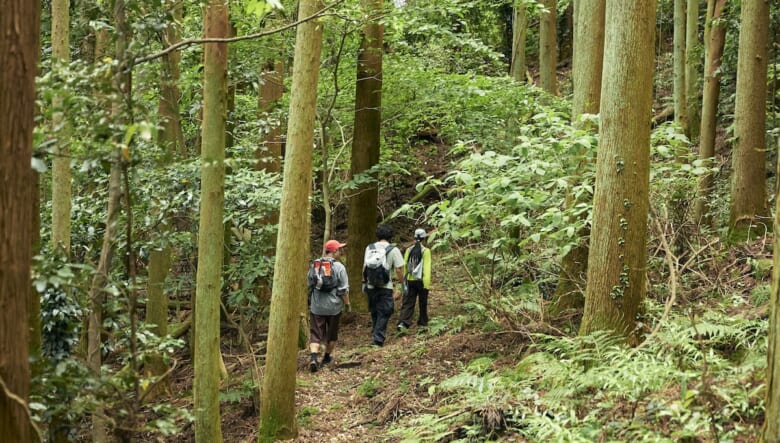 千葉のマッターホルン？ 標高300mでもスリル満点の、アクティブ登山に挑戦。【GO OUT 遊歩倶楽部with PRO TREK 伊予ヶ岳編 #02】
