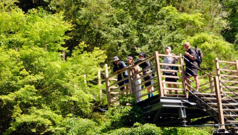 秘境の吊り橋ハイク！ 初夏の渓谷で新緑を巡るオトナの冒険。【大柳川渓谷編 #01】　