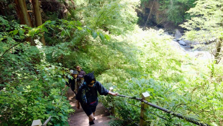 秘境の吊り橋ハイク！ 初夏の渓谷で新緑を巡るオトナの冒険。【大柳川渓谷編 #01】　