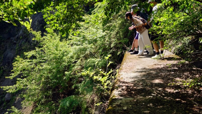 秘境の吊り橋ハイク！ 初夏の渓谷で新緑を巡るオトナの冒険。【大柳川渓谷編 #01】　
