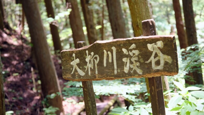 秘境の吊り橋ハイク！　初夏の渓谷で新緑を巡るオトナの冒険。【大柳川渓谷編 #02】　