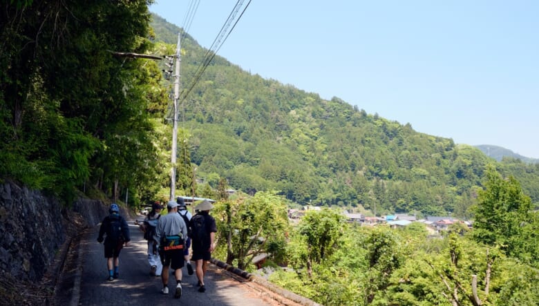 秘境の吊り橋ハイク！　初夏の渓谷で新緑を巡るオトナの冒険。【大柳川渓谷編 #02】　