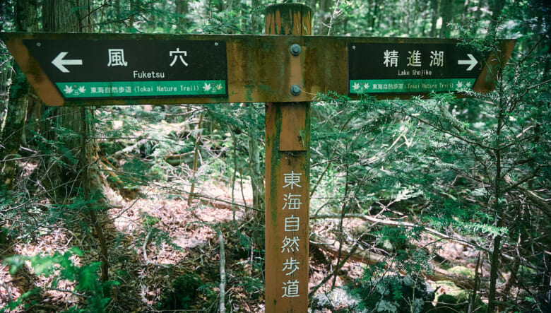山頂を目指さない、歩く旅。東海自然歩道をたどる、セクションハイクのすすめ。