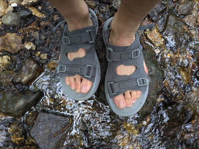 rig footwear