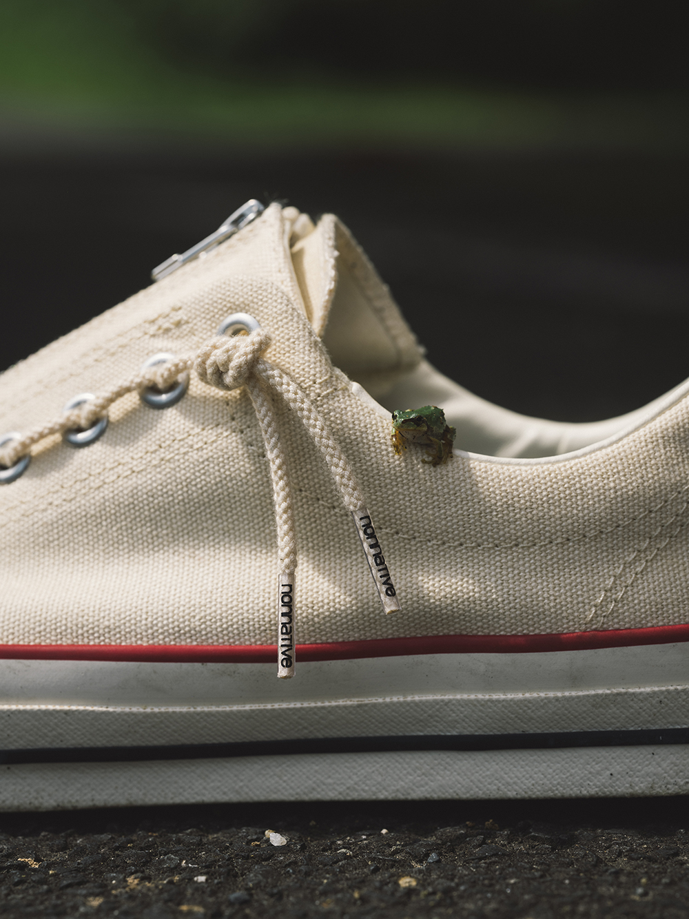 nonnative × CONVERSE“ALL STAR R”