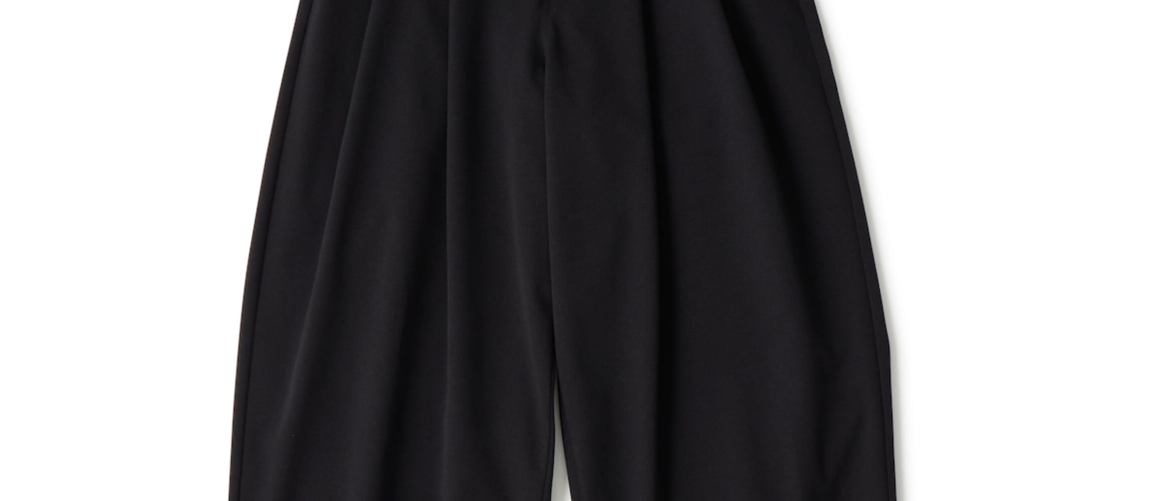 White Mountaineering×DickiesのWIDE PANTS