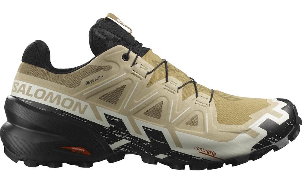 サロモンのSPEEDCROSS6 GORE-TEX
