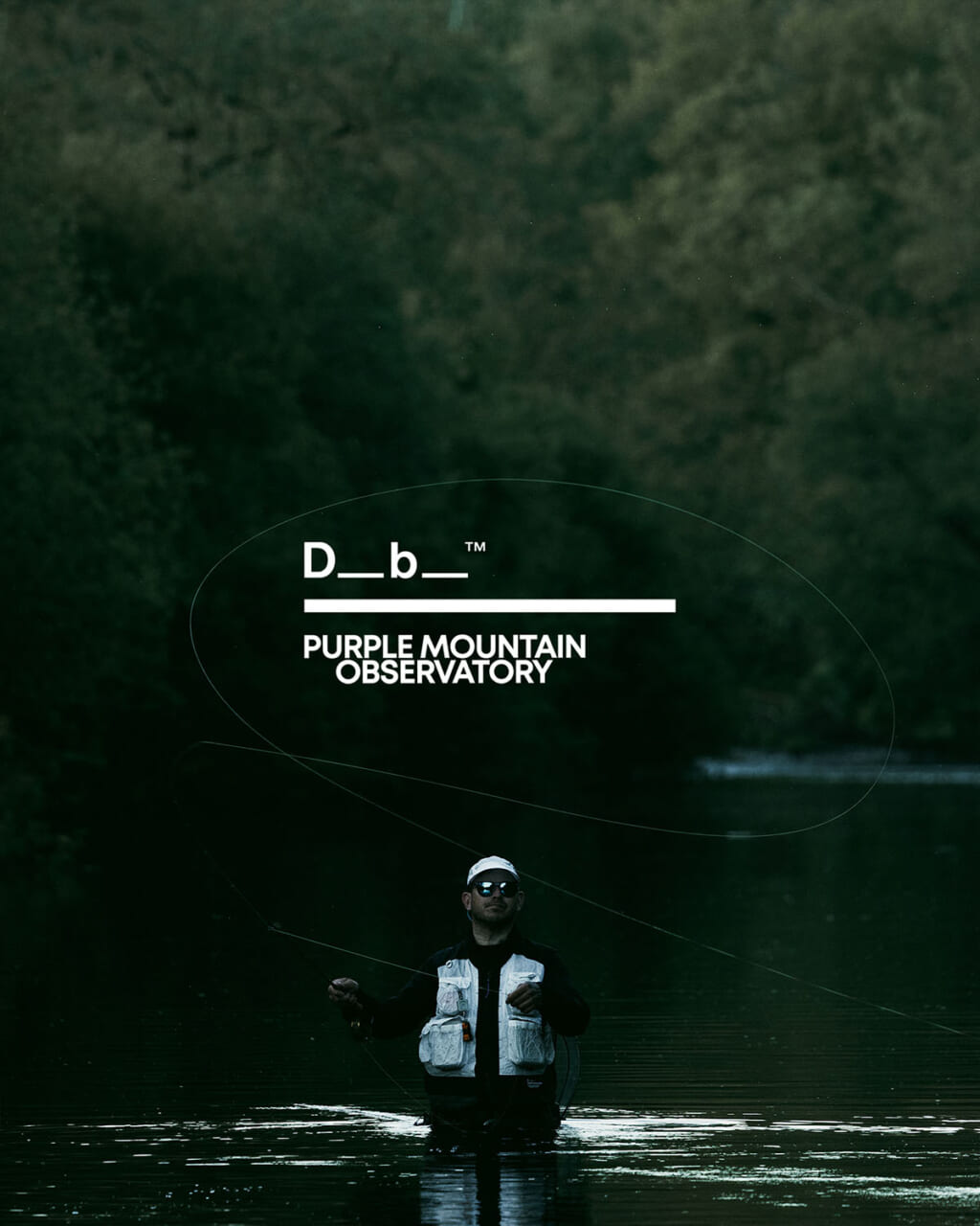 Db × Purple Mountain Observatory コラボ イメージ