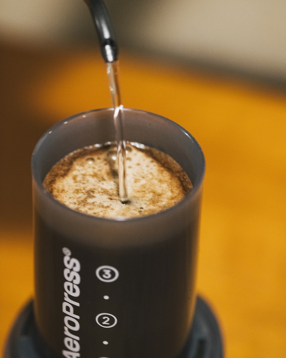 AeroPress® × THE NORTH FACE STANDARD