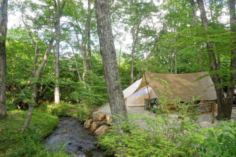 全面林間150サイト。那須高原の大型オートキャンプ場「キャンプラビット」。【お風呂に入れるキャンプ場FILE #4】