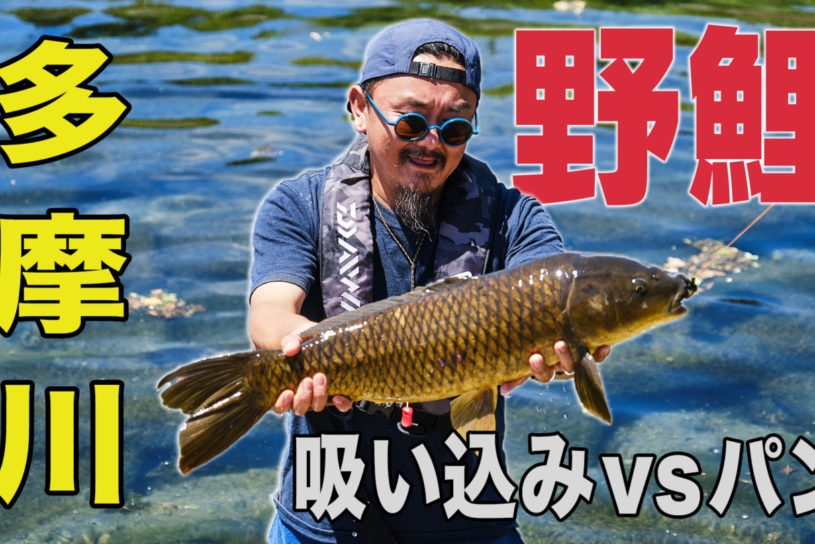 東京・多摩川で巨鯉釣りにチャレンジ！ 【GO OUT 釣り部動画】